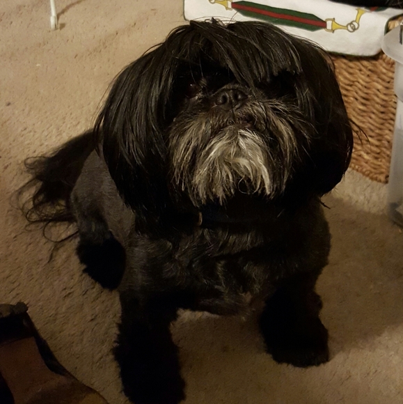 Meet your Posher, Kande - Picture 5 of 8